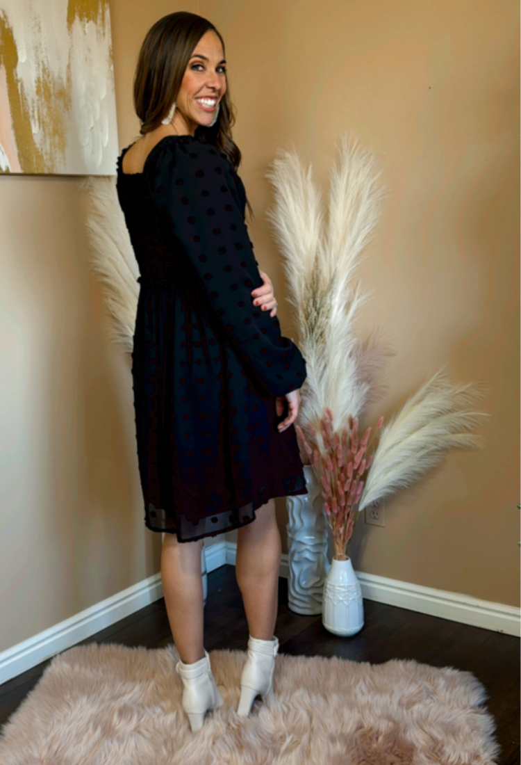 Danielle Swiss Dot Dress in Black Large / Black
