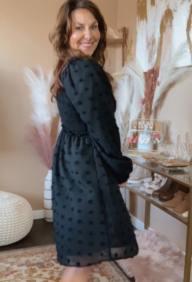 Danielle Swiss Dot Dress in Black – Dot Dot Dream