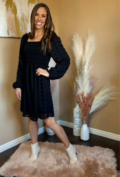 Danielle Swiss Dot Dress in Black X Large / Black Danielle Swiss Dot Dress in Black X Large / Black