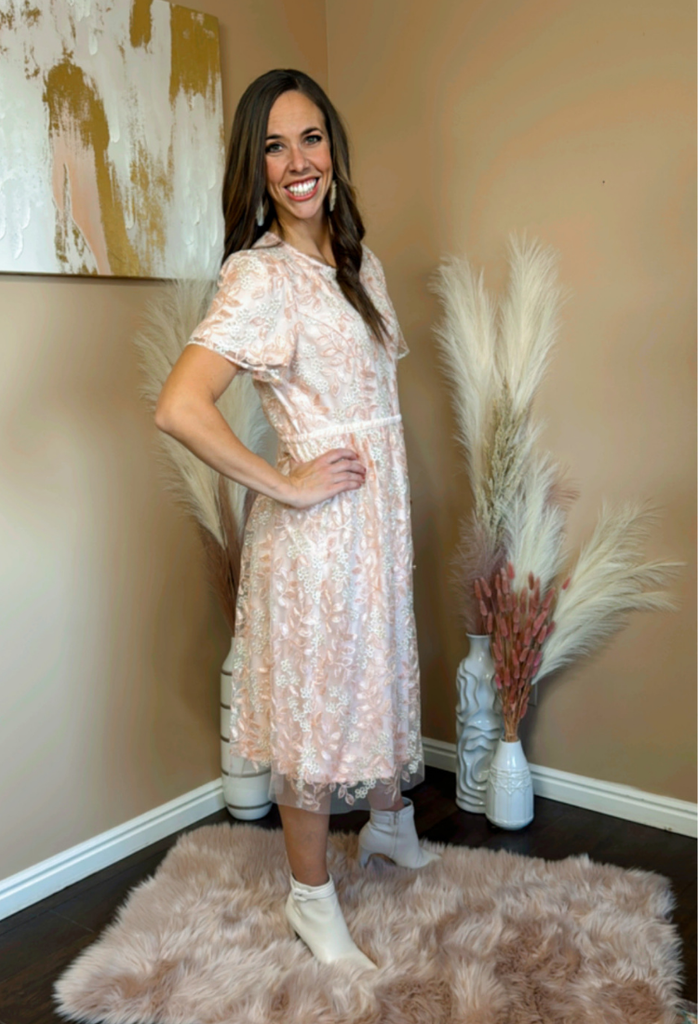 Demerie Embroidered Fit & Flare Dress X Large / Ballet Pink Demerie Embroidered Fit & Flare Dress X Large / Ballet Pink