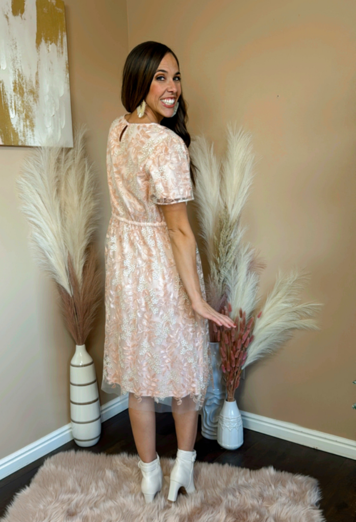 Demerie Embroidered Fit & Flare Dress X Large / Ballet Pink Demerie Embroidered Fit & Flare Dress X Large / Ballet Pink