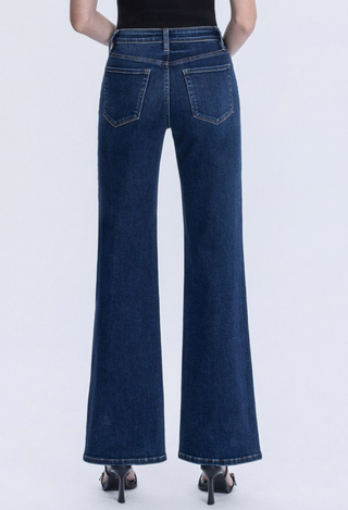 Vervet Flare Jeans back view