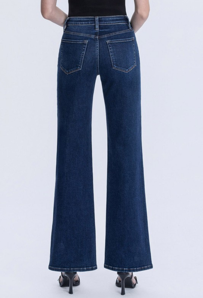 Vervet Flare Jeans back view