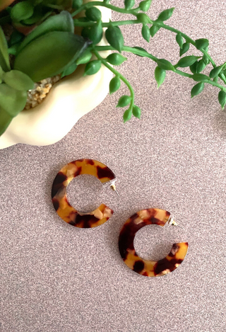 tortoise circle earrings
