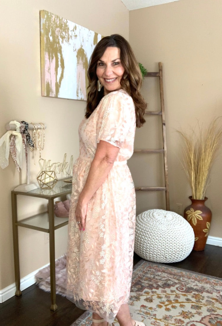 embroidered easter dress Demerie Embroidered Fit & Flare Dress X Large / Ballet Pink