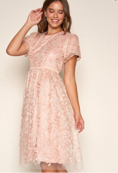 Demerie Embroidered Fit & Flare Dress