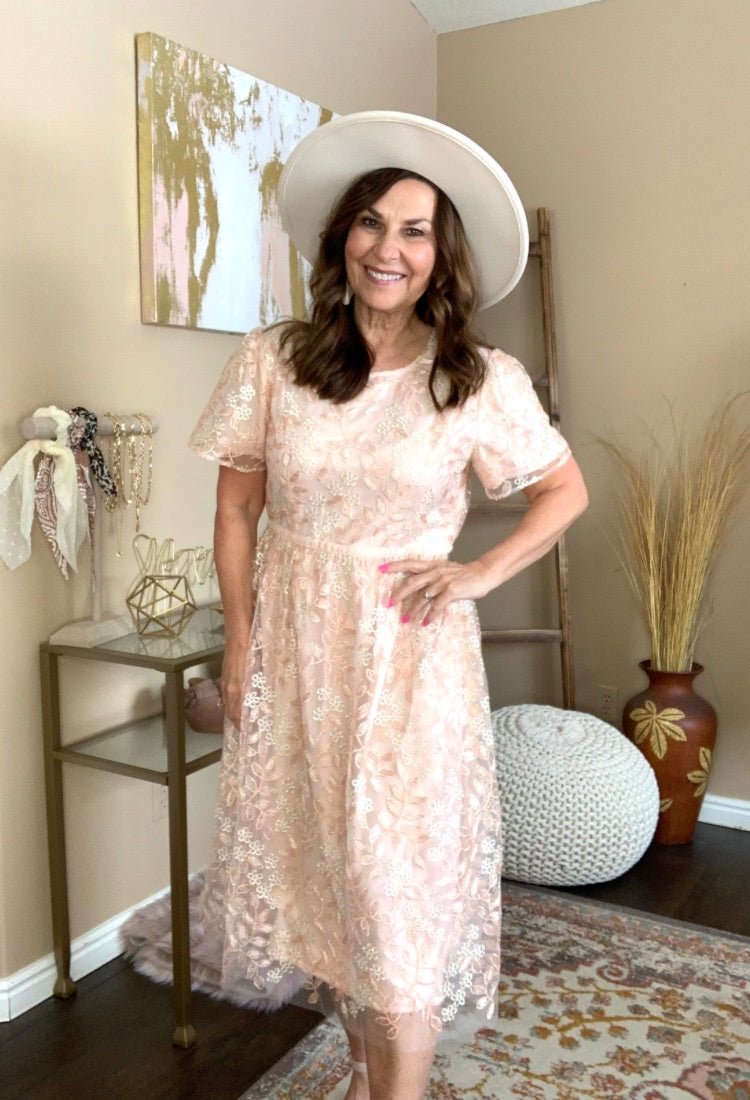 Demerie Embroidered Fit & Flare Dress X Large / Ballet Pink